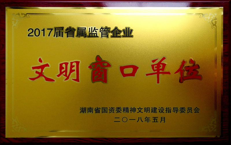 开云买球赛(中国)有限公司集团养老产业有限公司荣获“省属监管企业文明窗口单位”称号